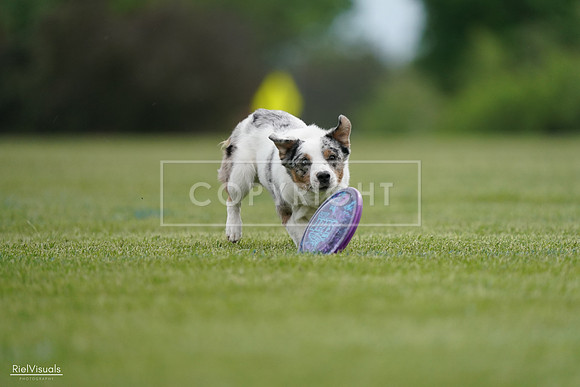 RielVisuals_20240525_161311_SJR03865