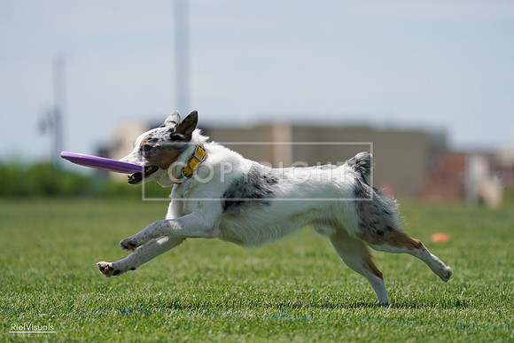 RielVisuals_20240525_121507_SJR09159
