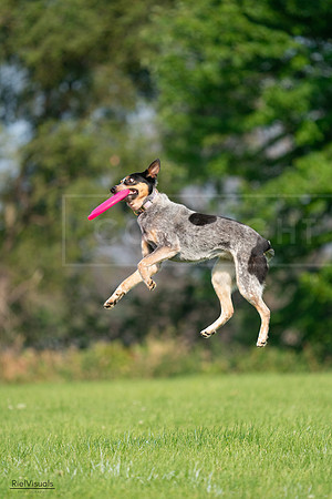 RielVisuals_20240727_093933_SJR07149