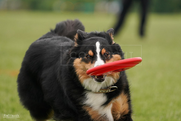 RielVisuals_20240526_135321_SJR09505