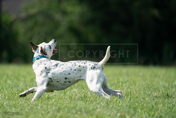 RielVisuals_20240728_151521_SJR00389
