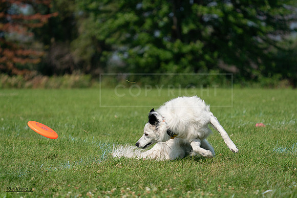 RielVisuals_20240728_102835_SJR08190