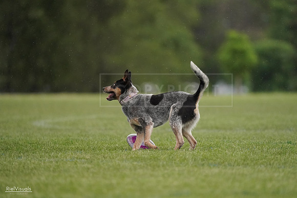RielVisuals_20240526_091820_SJR09624