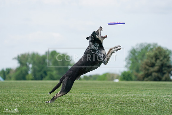 RielVisuals_20240525_123051_SJR00091