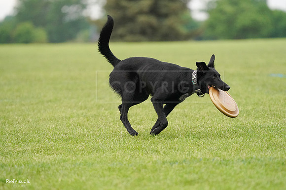 RielVisuals_20240527_110348_SJR02769