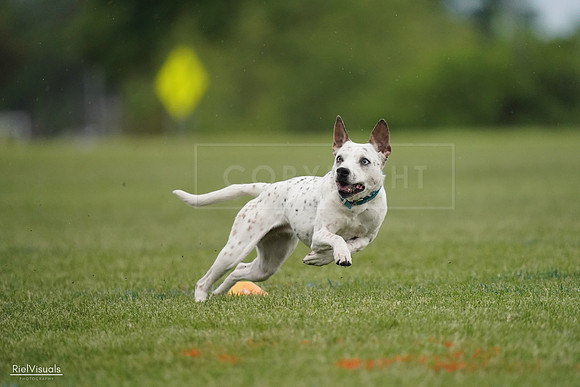 RielVisuals_20240526_090740_SJR09102