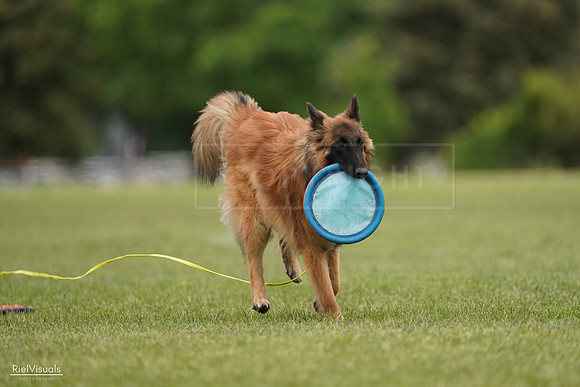 RielVisuals_20240526_134754_SJR09136