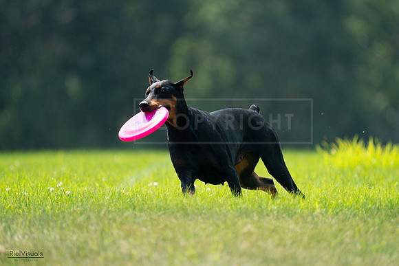 RielVisuals_20240727_121401_SJR05086