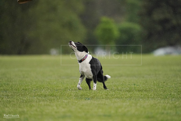 RielVisuals_20240526_093425_SJR00432