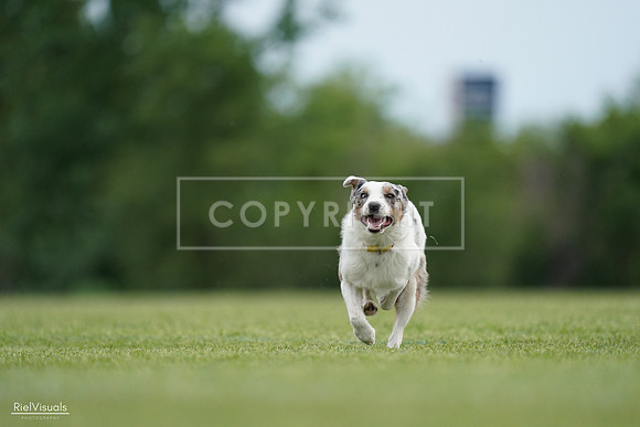 RielVisuals_20240525_161238_SJR03804