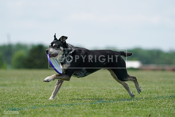 RielVisuals_20240525_123057_SJR00109
