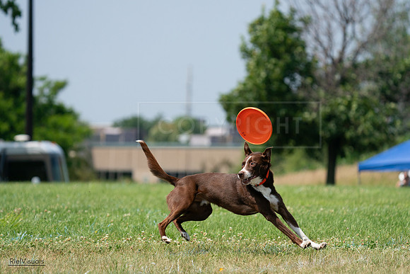 RielVisuals_20240727_140950_SJR09740