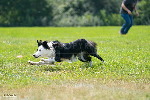 RielVisuals_20240728_130401_SJR04973