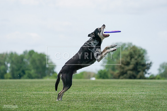 RielVisuals_20240525_123051_SJR00092