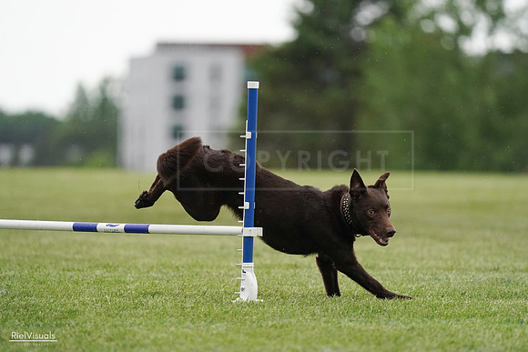RielVisuals_20240526_091057_SJR09403