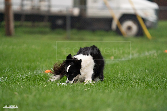RielVisuals_20240722_194025_SJR01795