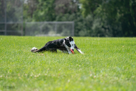 RielVisuals_20240728_130344_SJR04941