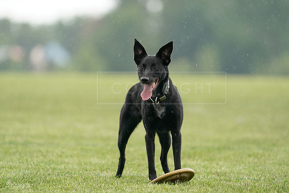 RielVisuals_20240526_092446_SJR09938