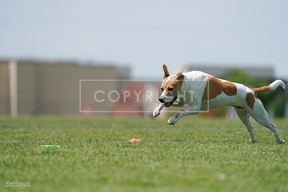 RielVisuals_20240525_121750_SJR09344