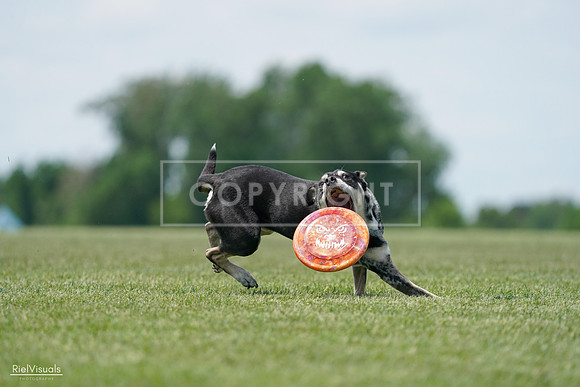RielVisuals_20240525_123143_SJR00212