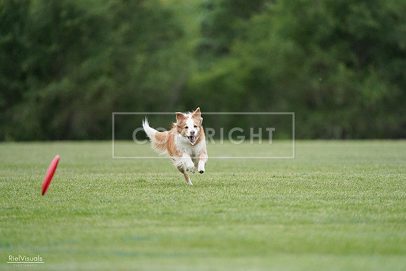 RielVisuals_20240525_170751_SJR06143
