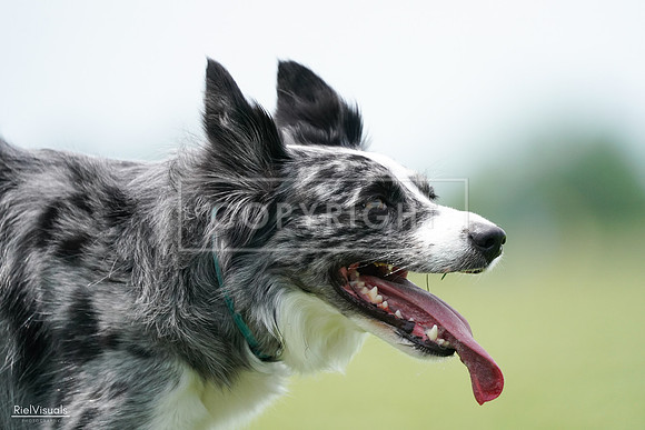 RielVisuals_20240525_124516_SJR01172