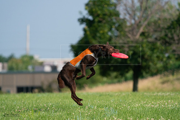 RielVisuals_20240727_092502_SJR06227