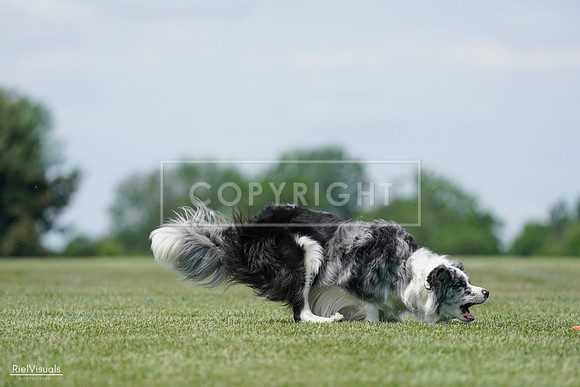 RielVisuals_20240525_123600_SJR00514