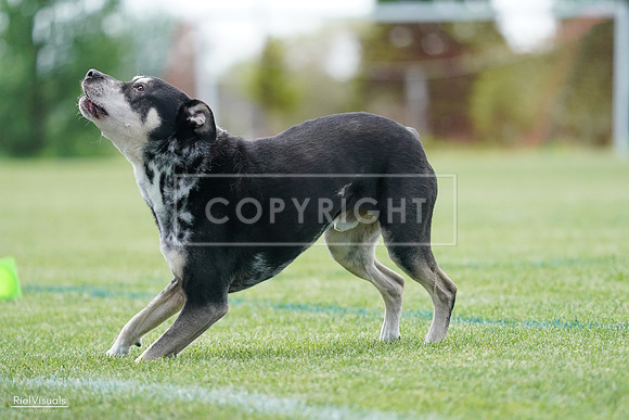 RielVisuals_20240525_123035_SJR00073