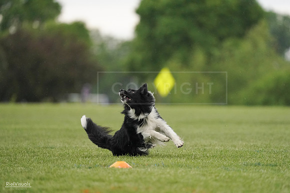RielVisuals_20240526_095517_SJR01368