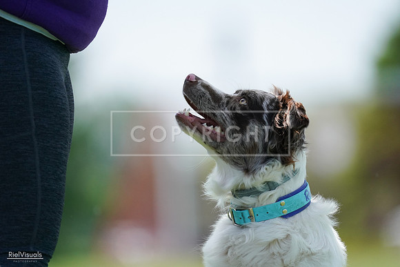 RielVisuals_20240525_120504_SJR08563