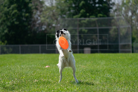 RielVisuals_20240728_121842_SJR03580