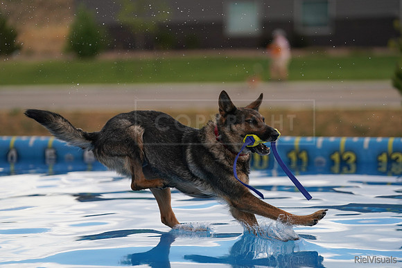 SJR02280