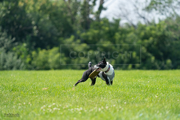 RielVisuals_20240728_115747_SJR02546