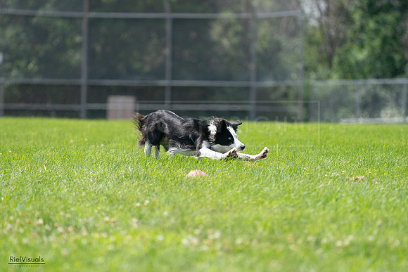 RielVisuals_20240728_130343_SJR04935