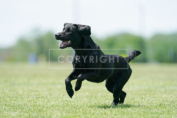 RielVisuals_20240525_121040_SJR08975
