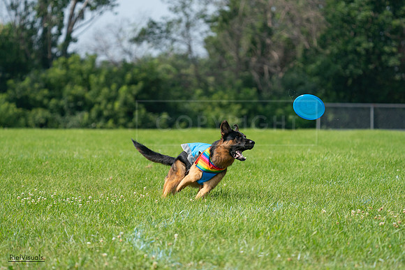 RielVisuals_20240728_104151_SJR08934
