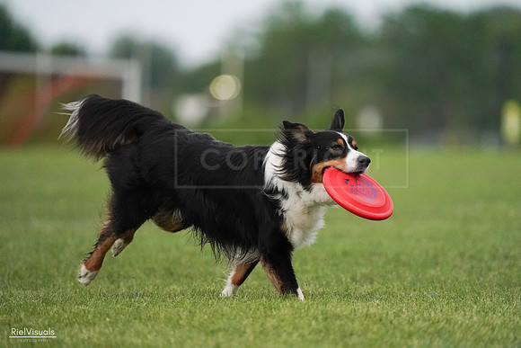RielVisuals_20240527_092002_SJR06937
