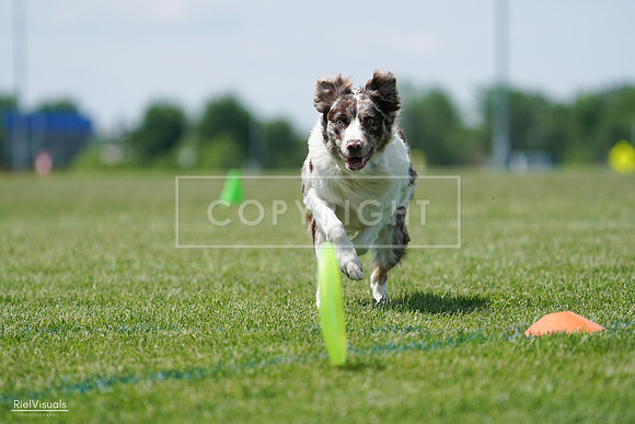 RielVisuals_20240525_120612_SJR08670
