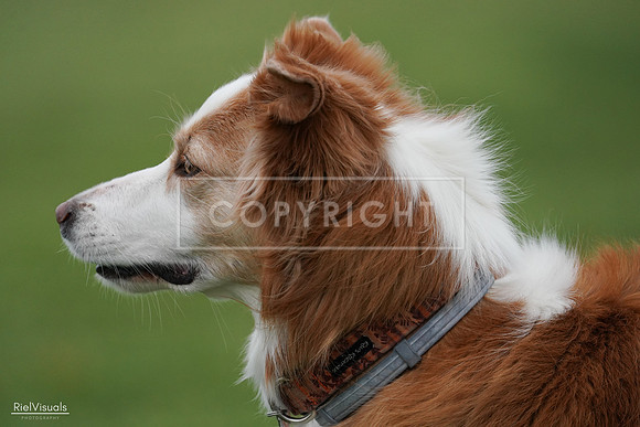 RielVisuals_20240525_170903_SJR06284