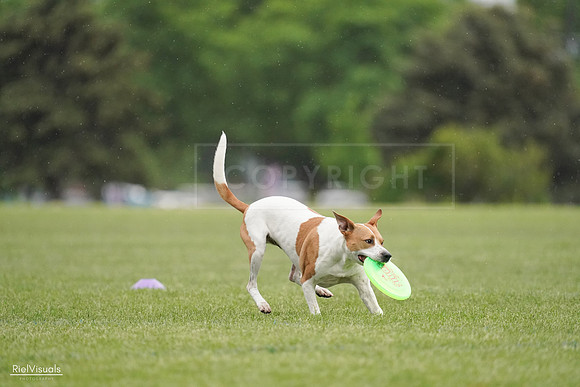 RielVisuals_20240526_092011_SJR09642