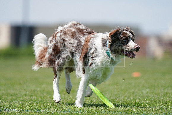 RielVisuals_20240525_120622_SJR08699