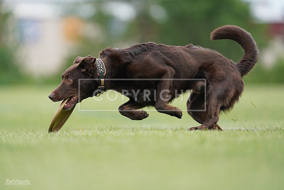 RielVisuals_20240525_162225_SJR04306