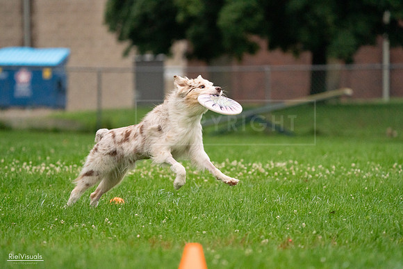 RielVisuals_20240722_193217_SJR01361