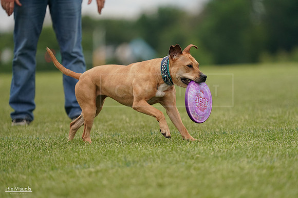 RielVisuals_20240526_135049_SJR09293