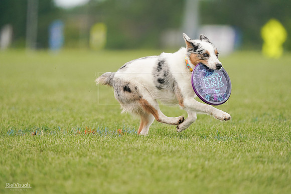 RielVisuals_20240527_140142_SJR01260