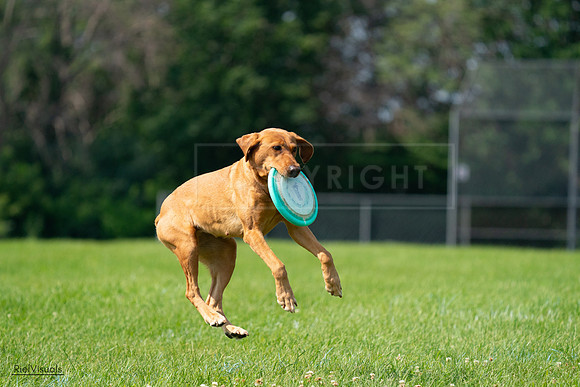 RielVisuals_20240728_104009_SJR08834