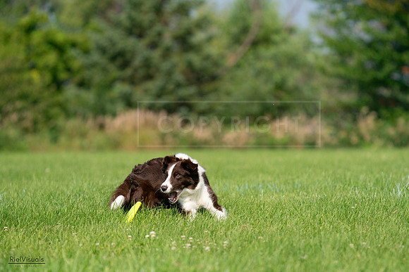 RielVisuals_20240727_095827_SJR08142