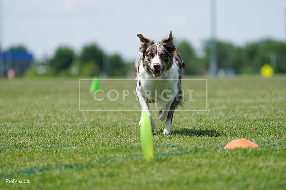 RielVisuals_20240525_120612_SJR08669