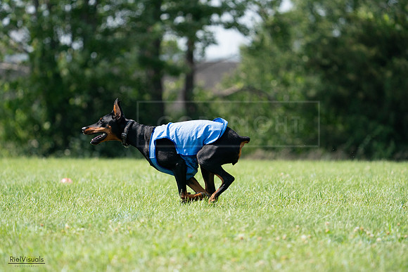 RielVisuals_20240728_145830_SJR09721